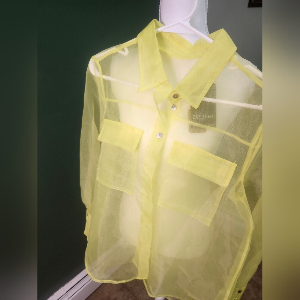 Insight Sheer Lemon Blouse - Picture 7 of 8